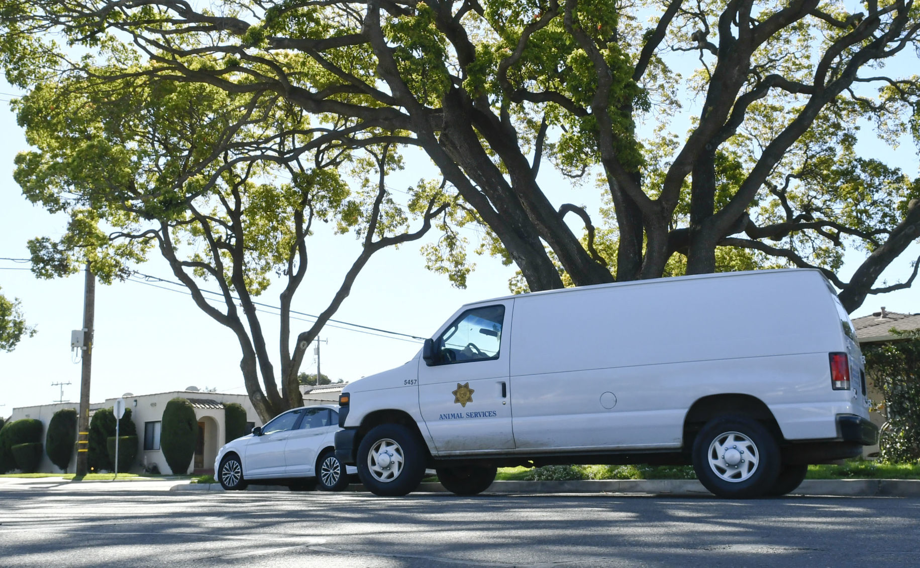 031419 Animal Services 06.jpg